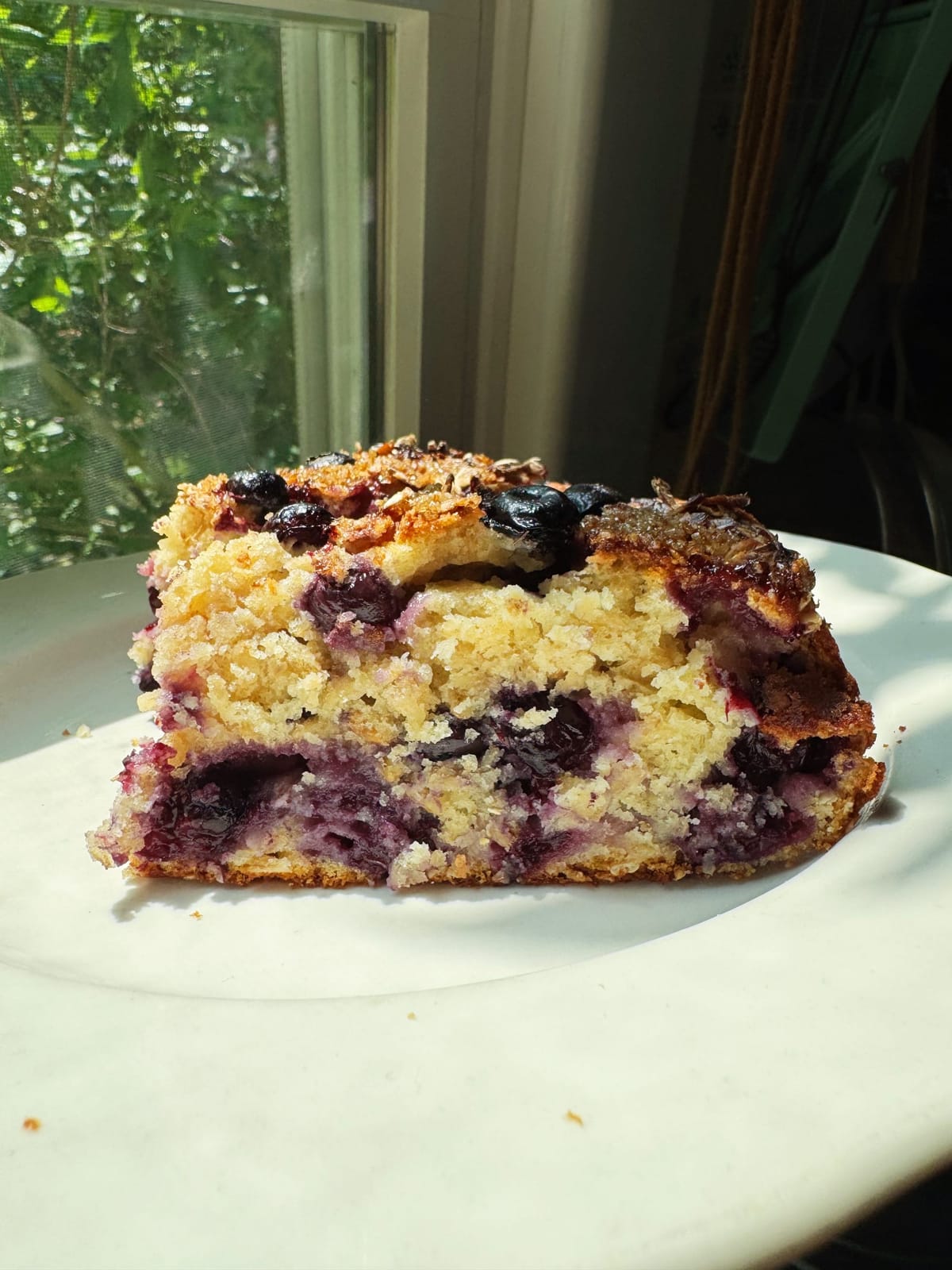 Buttered Oat Cake with Summer Fruits