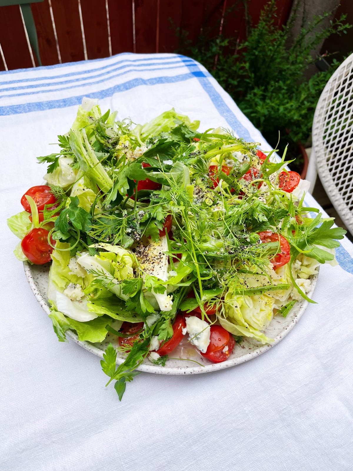 Summer Wedge! Grilled Hot Wings! TWO FOR ONE