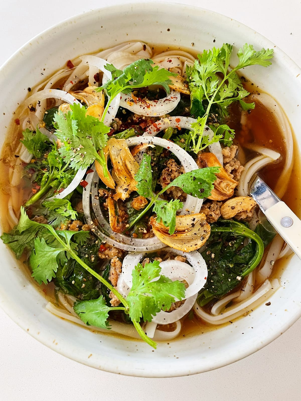 Spicy Pork Noodle Soup