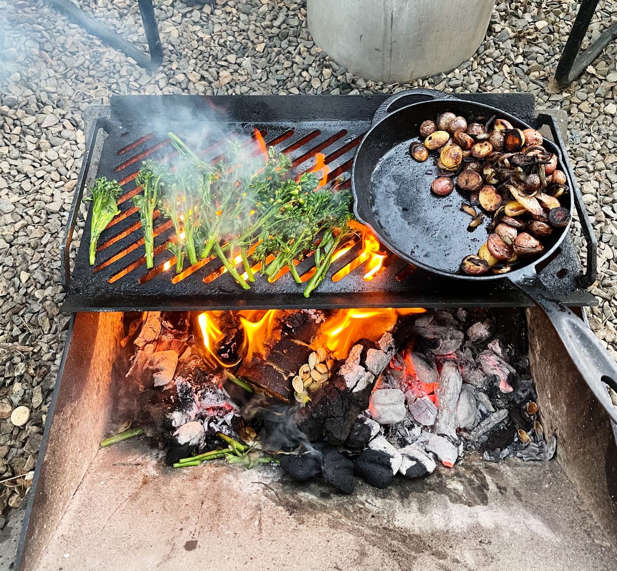 so you want to go camping